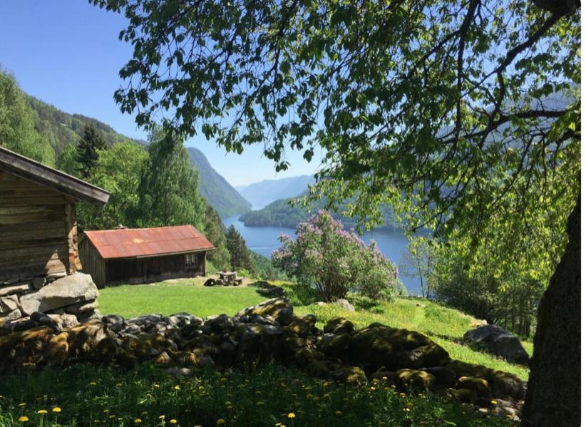 Dalen I Telemark Holiday Home With Garden Bagian luar foto