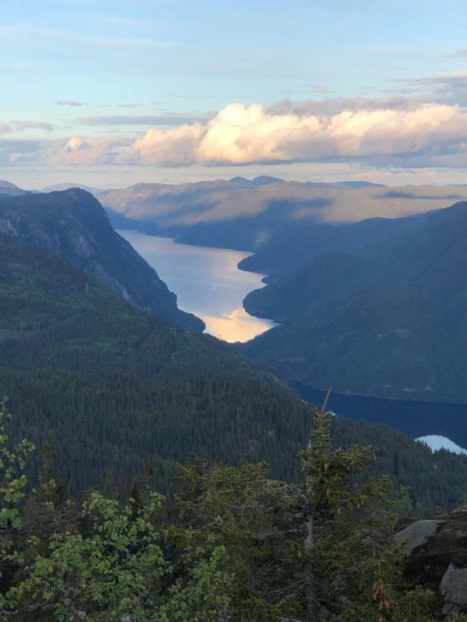 Dalen I Telemark Holiday Home With Garden Bagian luar foto