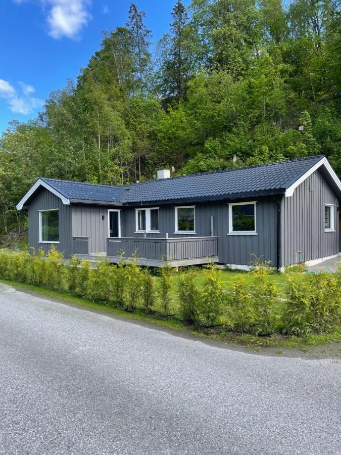 Dalen I Telemark Holiday Home With Garden Bagian luar foto